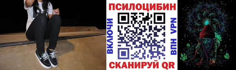 Галлюциногенные грибы Psilocybe  Людиново 