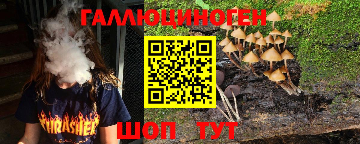 Галлюциногенные грибы мицелий  Вход с VPN  купить закладку  Псилоцибиновые грибы прущие грибы  Людиново 
